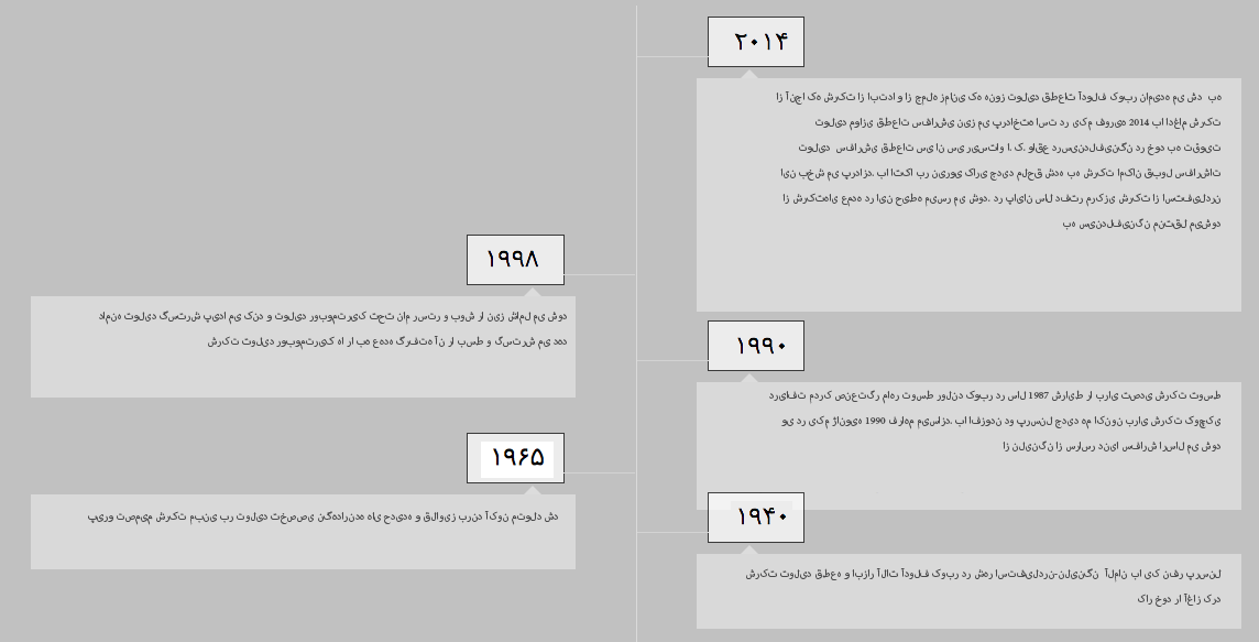 History of the company